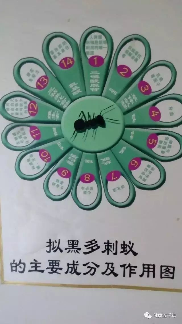 超微系列碘钴硒铬产品（铬和硒的作用）-硒宝网