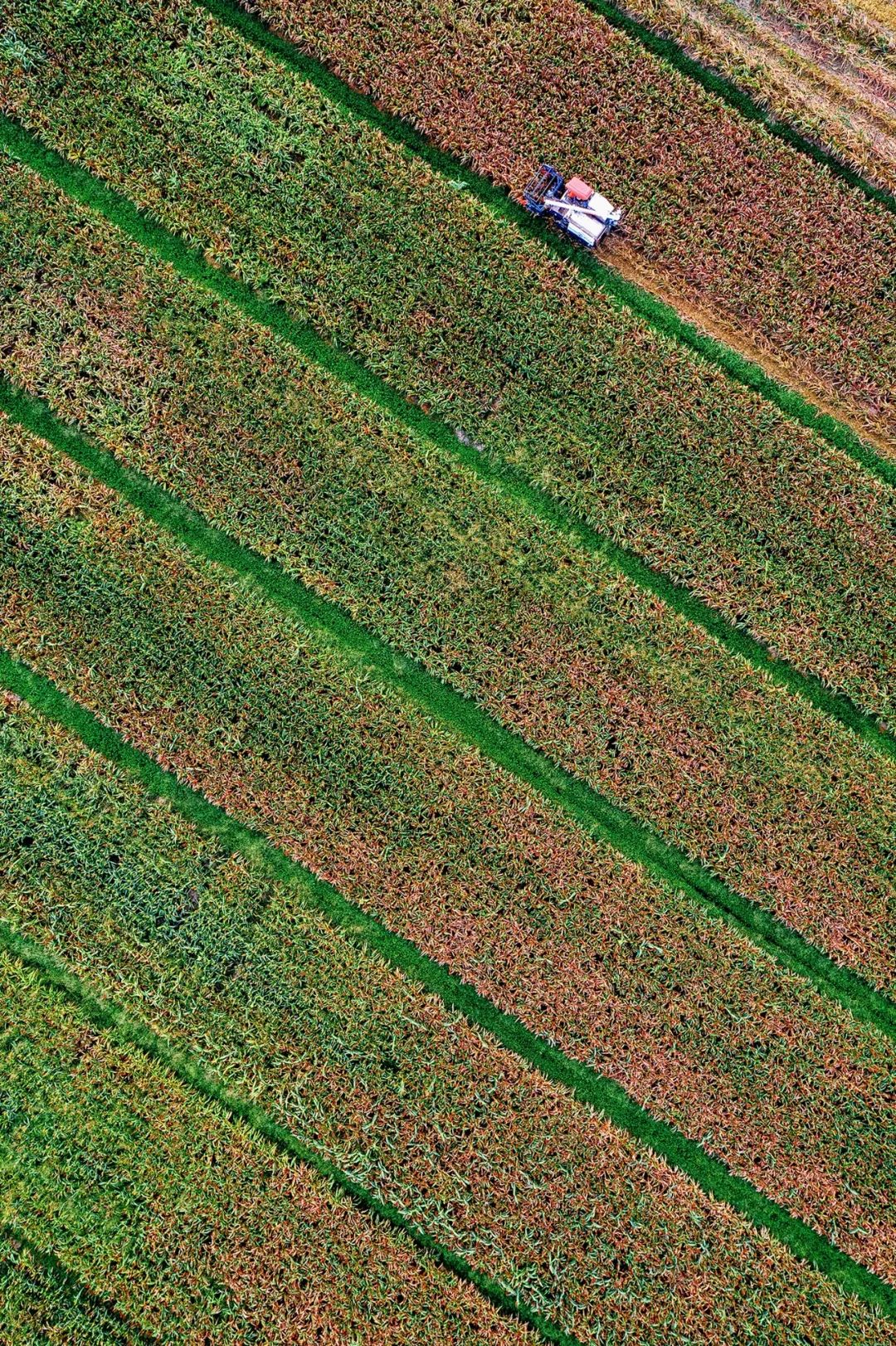 盛硒源产品有准字号吗（国药准字硒片哪个牌子）-硒宝网