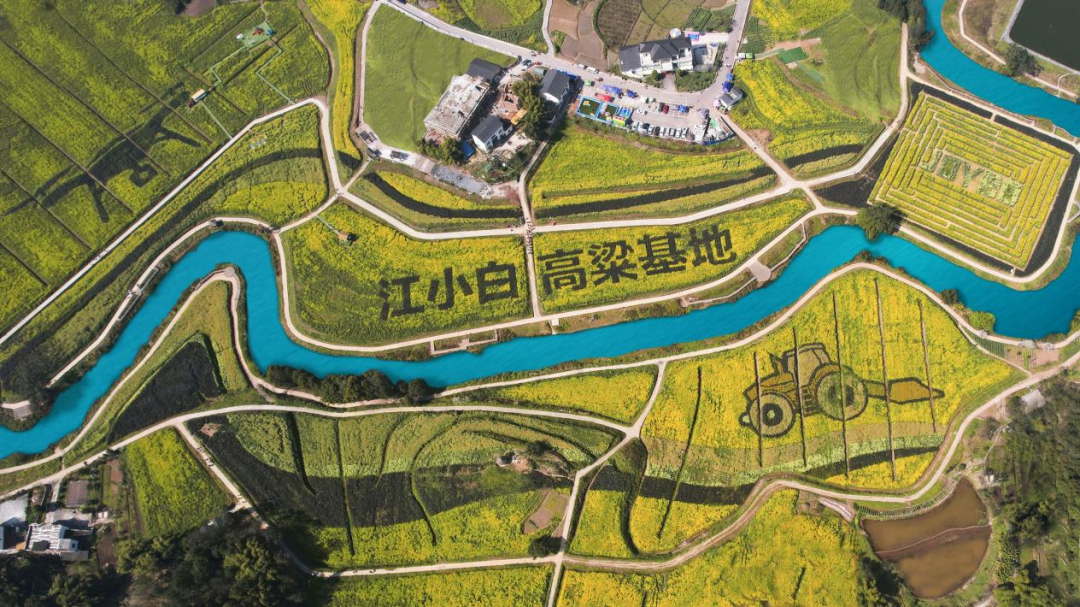 盛硒源产品有准字号吗（国药准字硒片哪个牌子）-硒宝网