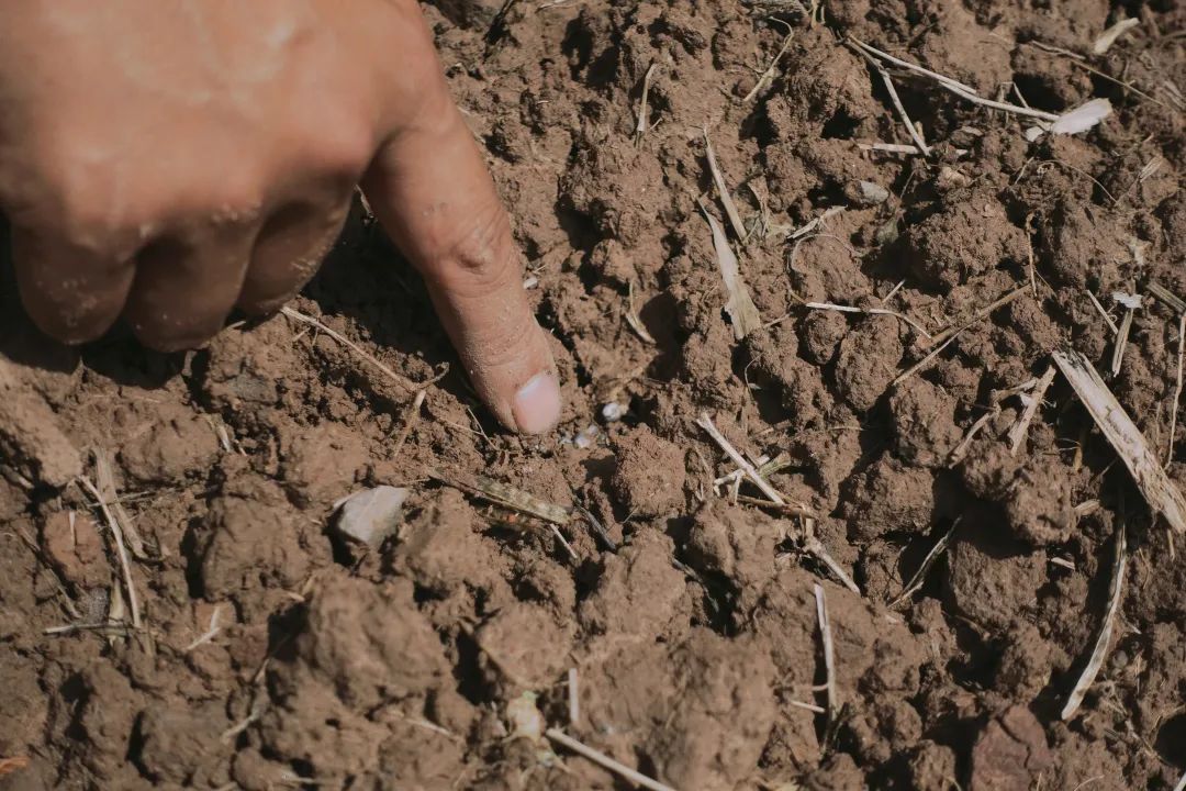 盛硒源产品有准字号吗（国药准字硒片哪个牌子）-硒宝网