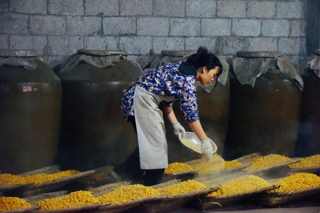 盛硒源产品有准字号吗（国药准字硒片哪个牌子）-硒宝网