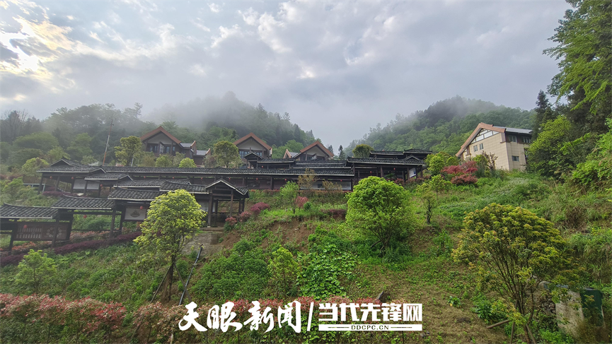 凤冈县锌硒茶产品品牌(凤冈锌硒茶乡)-硒宝网