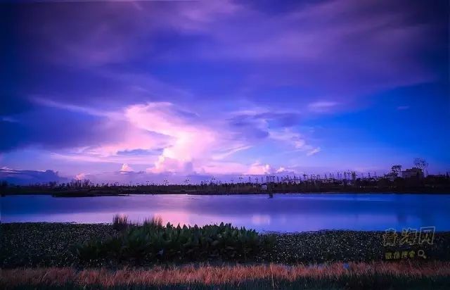 青海省海东市含硒产品(青海缺硒吗)-硒宝网