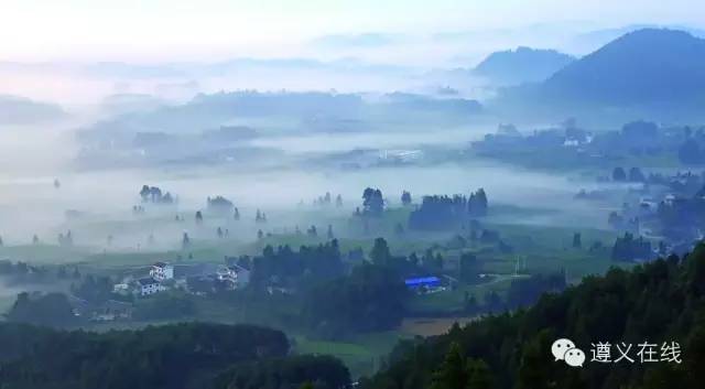 凤冈县锌硒茶产品品牌(凤冈锌硒茶120g特级)-硒宝网