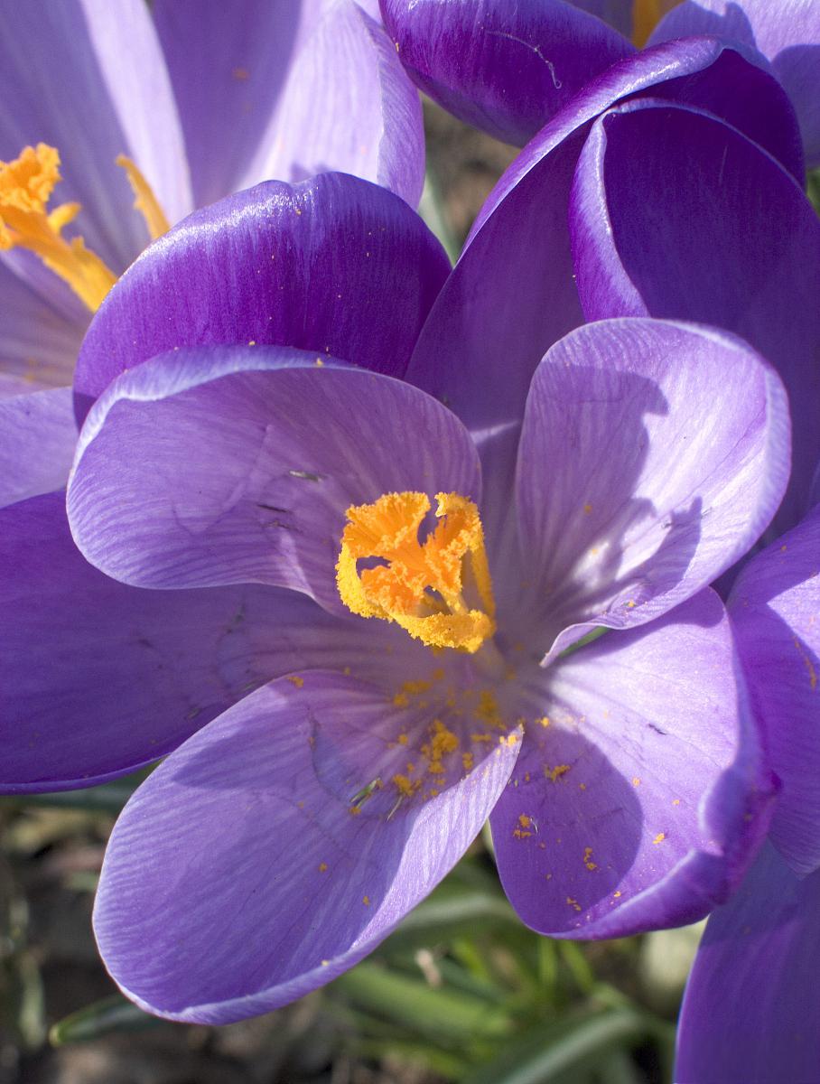 含硒农产品适合的土壤（土壤中含硒有什么作用）-硒宝网