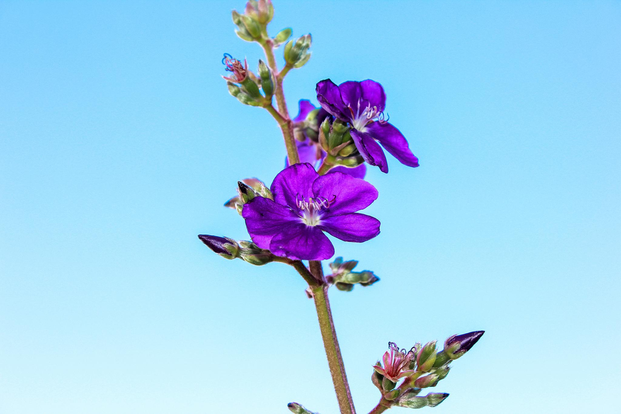 含硒农产品适合的土壤（土壤中含硒有什么作用）-硒宝网