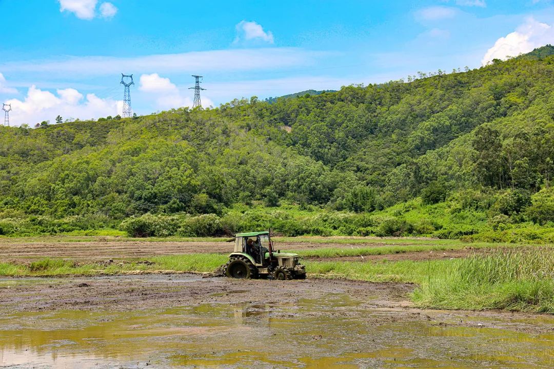 中国农科院硒产品介绍（中国农科院生产的硒多少钱一盒）-硒宝网