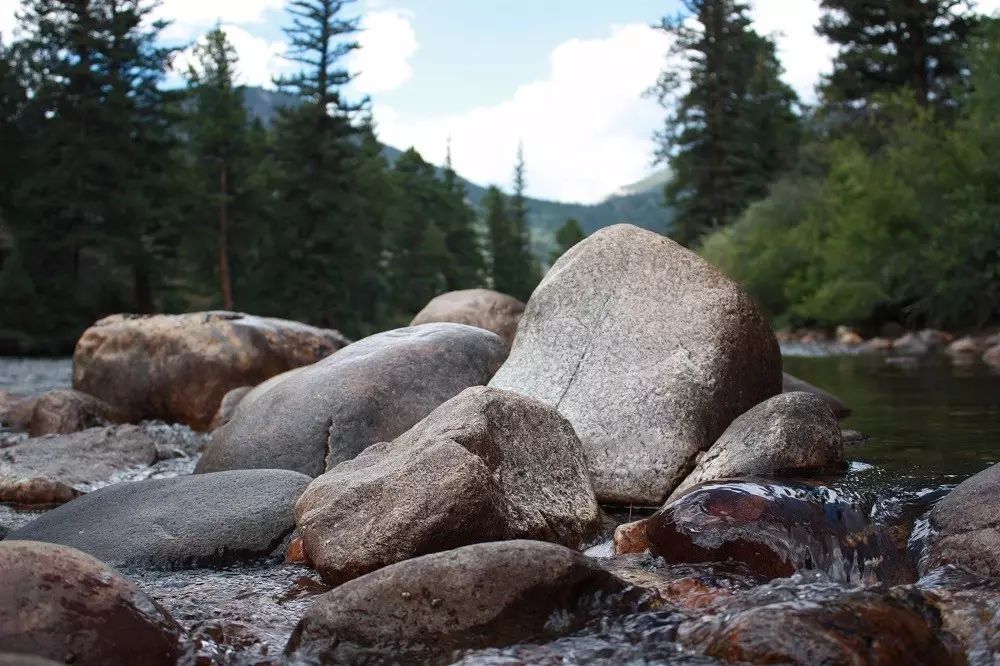 含硒土壤的特色农产品(土壤含硒有什么作用)-硒宝网