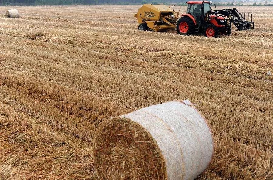 含硒土壤的特色农产品(土壤含硒有什么作用)-硒宝网