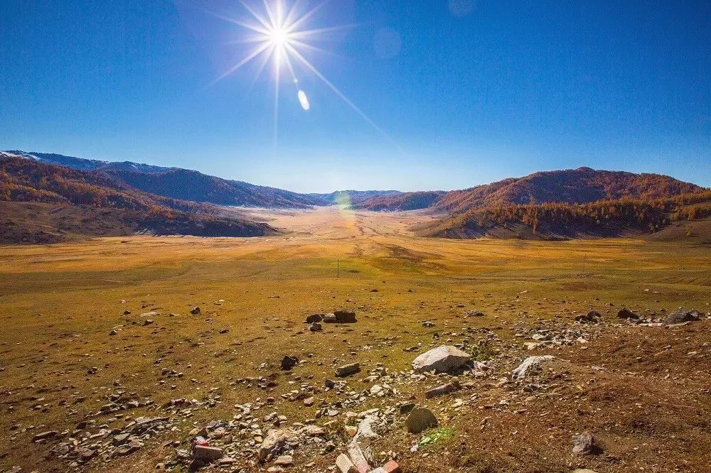 含硒土壤的特色农产品(土壤含硒有什么作用)-硒宝网