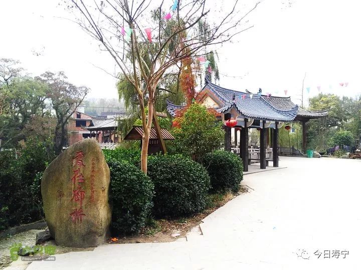 寿宁县生态硒锌农产品(锌硒康养集团)-硒宝网