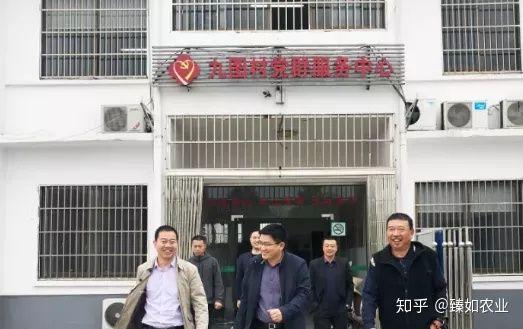 硒谷功能农产品怎么样（硒谷功能农业）-硒宝网