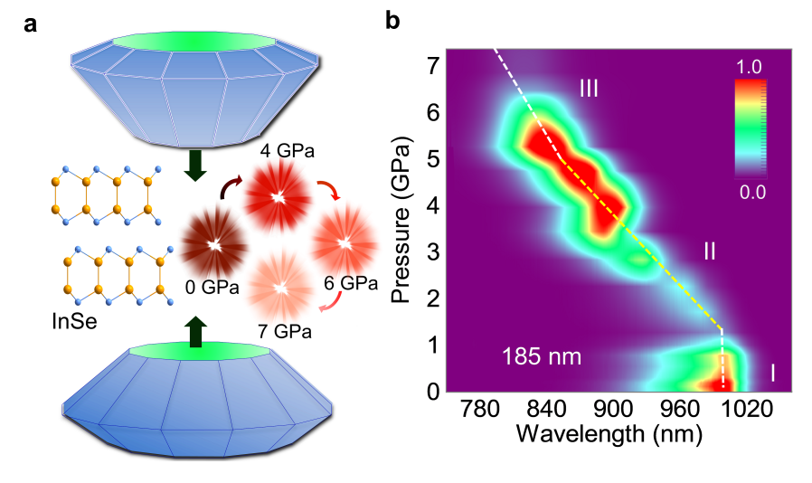 国家级硒产品质检中心（硒标准品）-硒宝网
