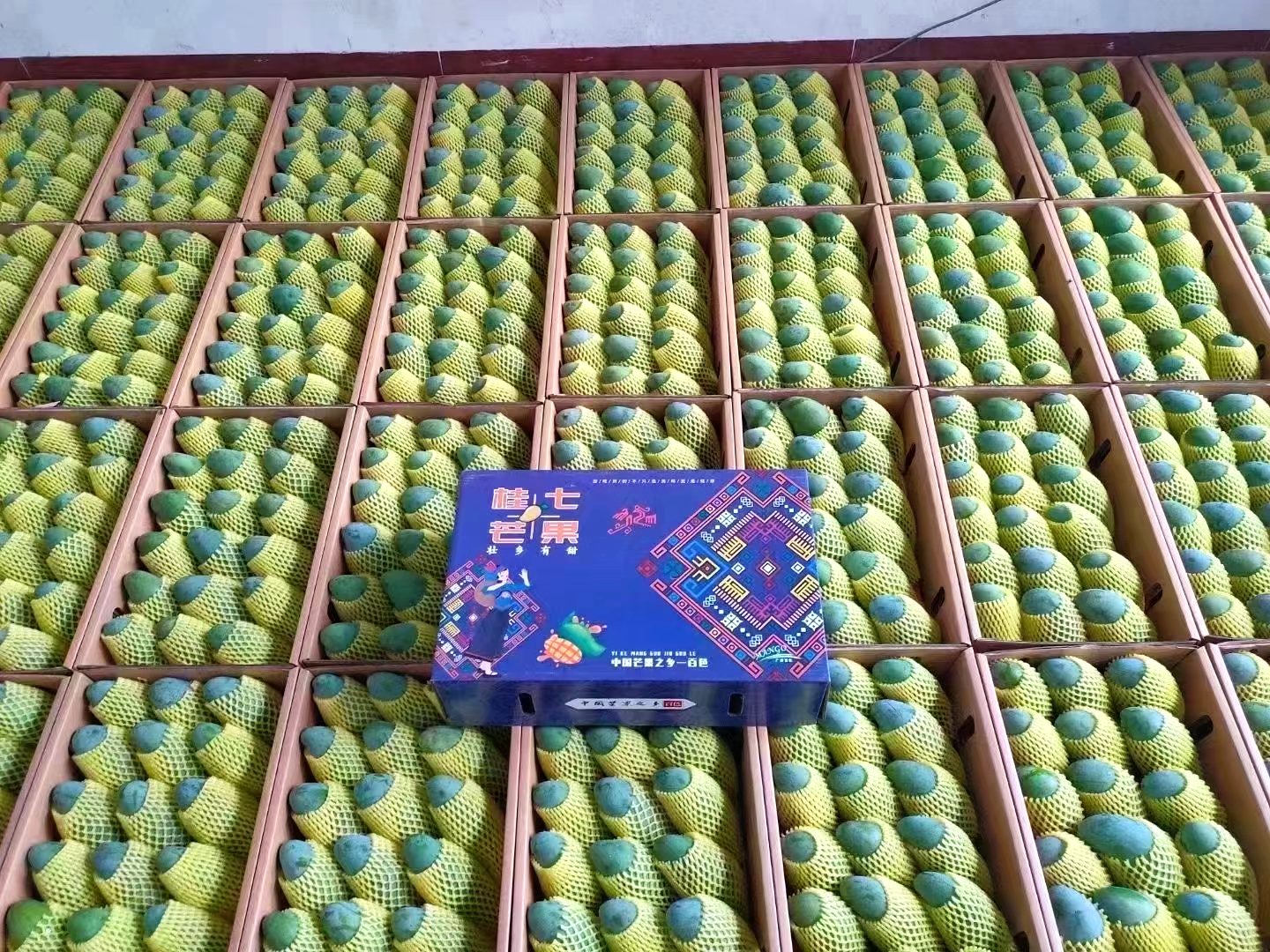 中国农科院硒产品亚林(农硒一号产品)-硒宝网