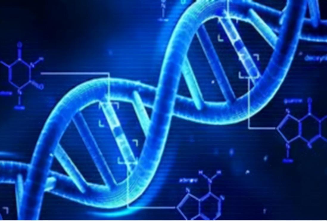 女人缺微量元素的表现(女人缺微量元素会失眠吗)-硒宝网