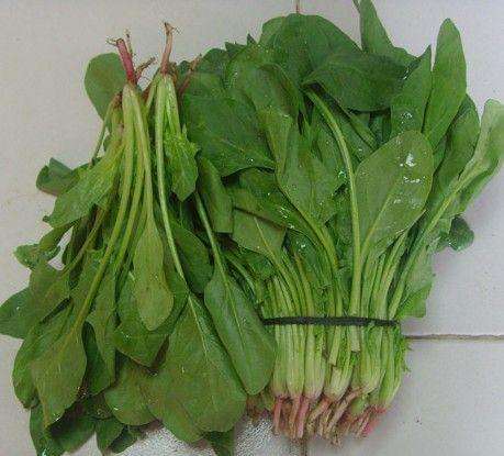 肺癌晚期病人与硒维康（肺癌吃硒维康口嚼片有用吗）-硒宝网