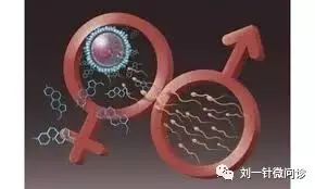 青少年补锌十大排行榜(青少年补锌哪种好)-硒宝网