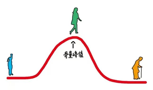 青年人补钙哪个效果好（青年补钙有什么用）-硒宝网
