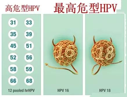 硒维康对HPV有用吗（硒维康口嚼片对hpv）-硒宝网