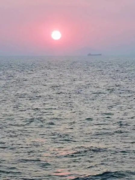 到哪里买硒维康最好呢(硒维康多少钱)-硒宝网