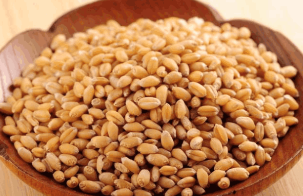 硒维康能不能长期服用（能服用长期硒维康片吗）-硒宝网