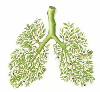 硒维康感冒了可以吃吗（感冒吃硒维康可以吗）-硒宝网