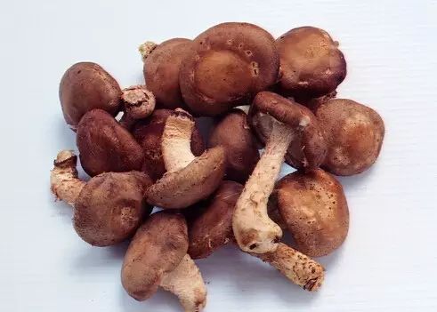 有高血压能吃硒维康吗（高血压患者可以吃硒片吗）-硒宝网