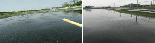 硒维康能增加免疫力吗（免疫力能增加硒维康吗）-硒宝网