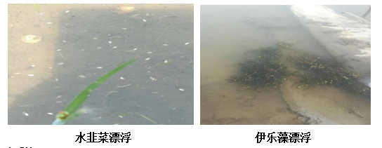 硒维康能增加免疫力吗（免疫力能增加硒维康吗）-硒宝网