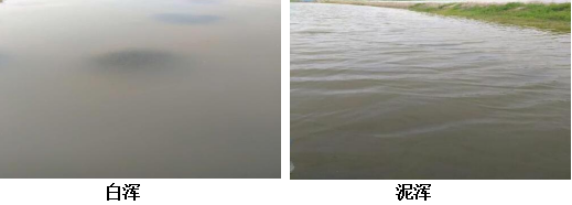 硒维康能增加免疫力吗（免疫力能增加硒维康吗）-硒宝网