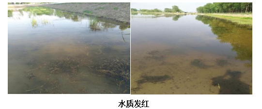 硒维康能增加免疫力吗（免疫力能增加硒维康吗）-硒宝网