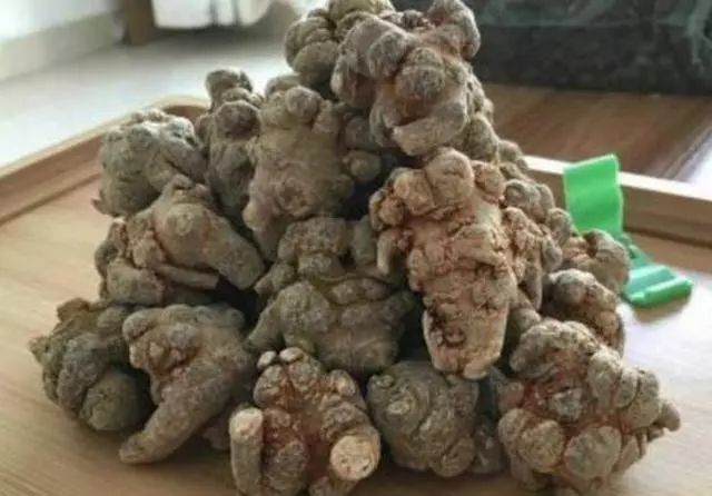 吃硒维康能喝三七粉吗(三七粉和硒酵母片可以一起吃吗)-硒宝网