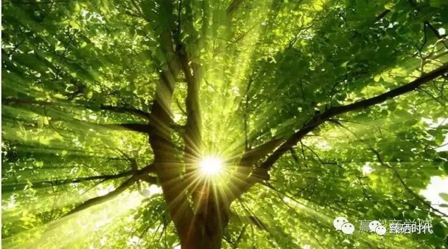 硒维康对宫颈癌的效果(硒维康能治hpv)-硒宝网