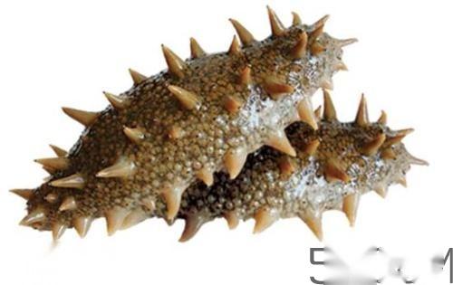 什么样的人群喝锌硒宝(锌硒宝对人体的危害)-硒宝网