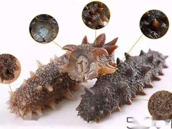 什么样的人群喝锌硒宝(锌硒宝对人体的危害)-硒宝网