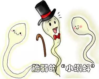 蛋白锌新稀宝牌锌硒宝(锌硒宝效果怎么样)-硒宝网