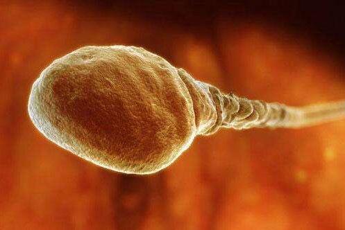 蛋白锌新稀宝牌锌硒宝(锌硒宝效果怎么样)-硒宝网