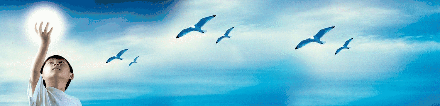 锌硒宝牌锌硒宝片好吗（锌硒宝牌锌硒宝片）-硒宝网