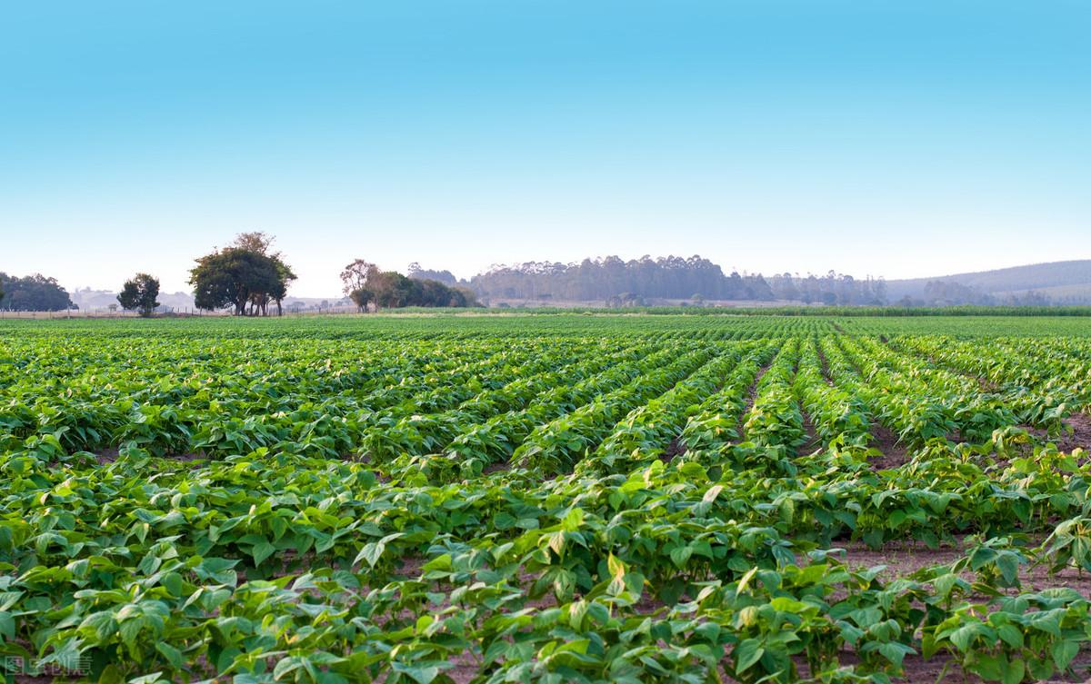 锌硒宝锌含量太低了吧(锌含量低宝硒含量高吗)-硒宝网
