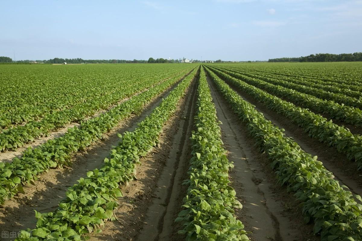 锌硒宝锌含量太低了吧(锌含量低宝硒含量高吗)-硒宝网