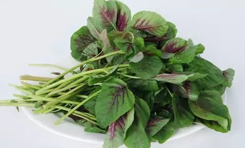 吃什么补铁（吃补铁药月经一直不干净）-硒宝网