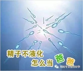 补充精子活力的锌硒宝（锌硒宝能生精吗）-硒宝网