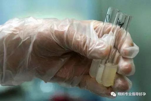 补充精子活力的锌硒宝（锌硒宝能生精吗）-硒宝网