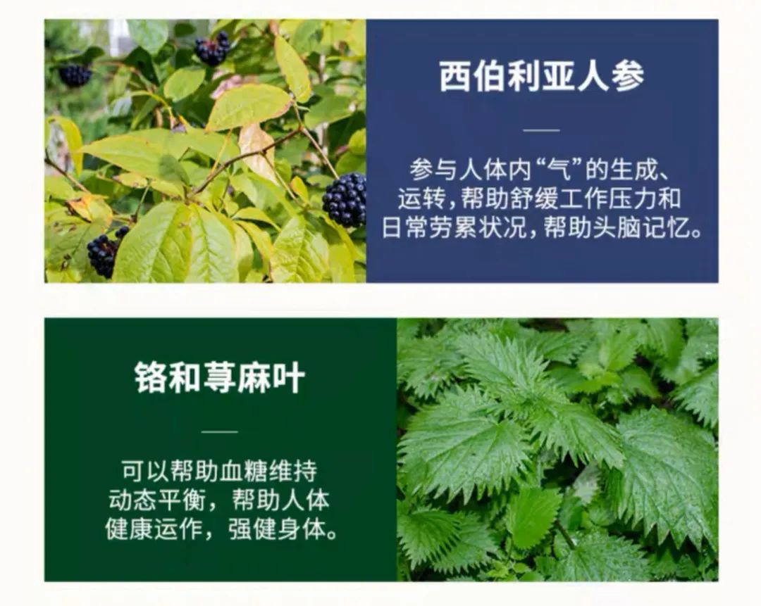 男人硒锌宝哪个牌子好(锌硒宝哪个牌子好男人吃的)-硒宝网