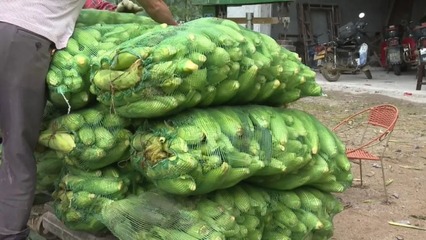 十大补钙蔬菜排行榜（哪十种蔬菜最补钙）-硒宝网