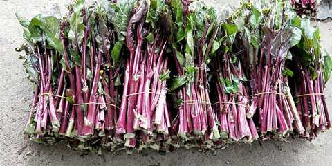 十大补钙蔬菜排行榜（哪十种蔬菜最补钙）-硒宝网