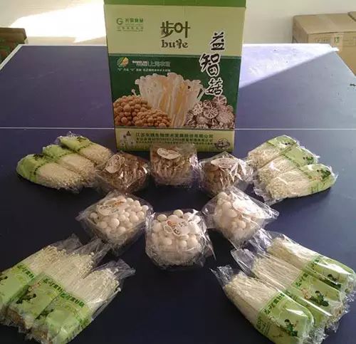 哪个品牌的硒锌宝最好(锌硒宝质量品牌排行榜)-硒宝网