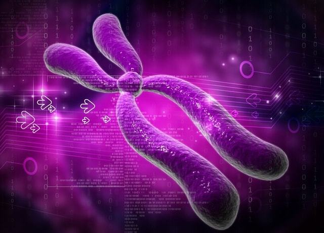 锌硒宝片治疗男性不育(锌硒宝片男人吃有什么功效)-硒宝网