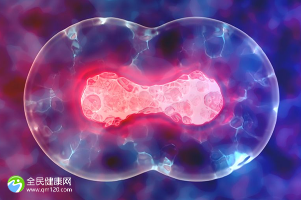 精子少吃锌硒宝有效吗(锌硒宝片对弱精效果大吗)-硒宝网