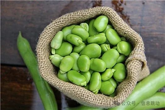 哪个季节适合补钙(季节补钙适合什么人群)-硒宝网